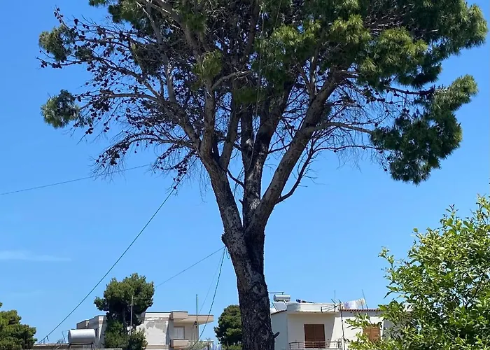 Cangollari Seaside House Vlora