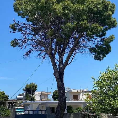 Cangollari Seaside House Vlorë